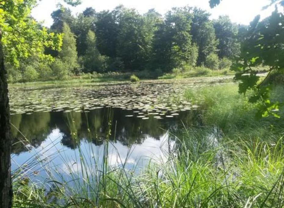 Natuurhuisje Oisterwijk Exterior foto