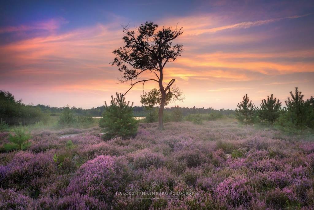 Natuurhuisje Oisterwijk Exterior foto