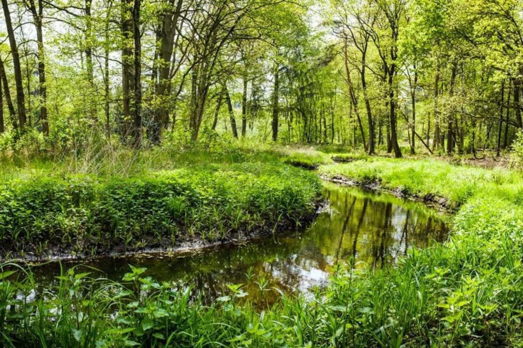 Natuurhuisje Oisterwijk Exterior foto