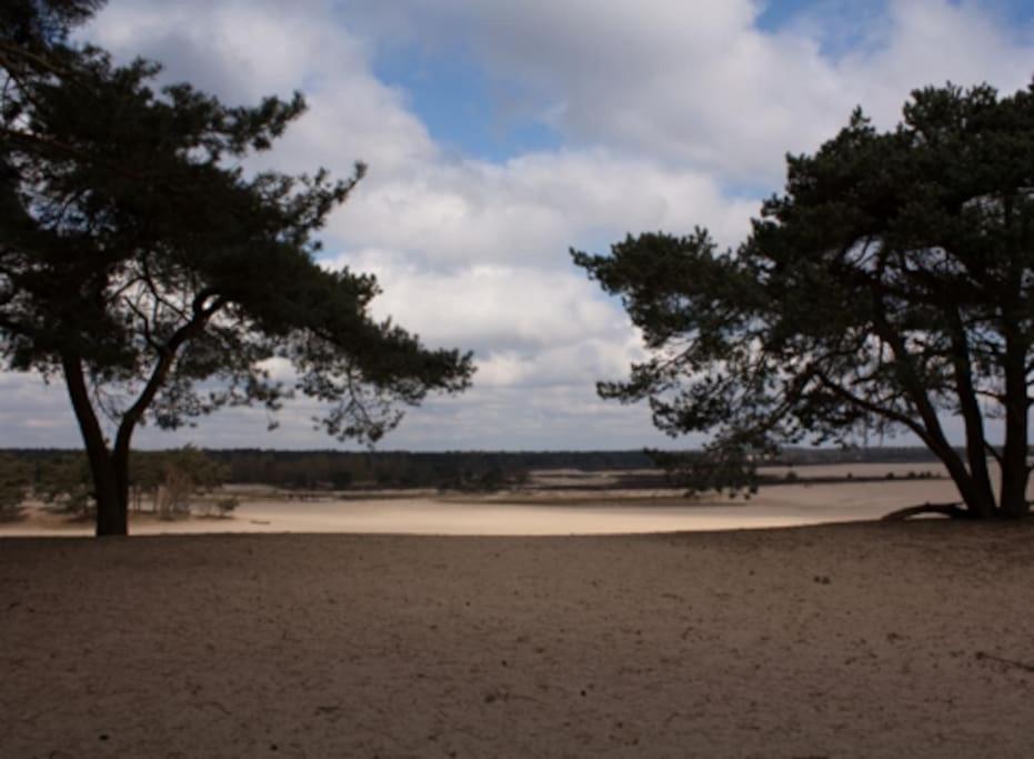 Natuurhuisje Oisterwijk Exterior foto